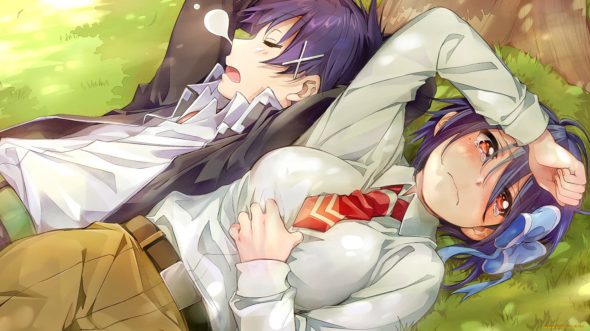nisekoi, , , , 